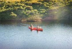 Experience a peaceful paddle on the Margaret River.