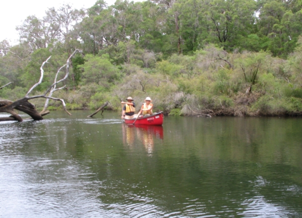 Canoe the Blackwood River