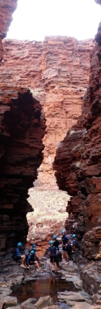 Expeditions to the Outback